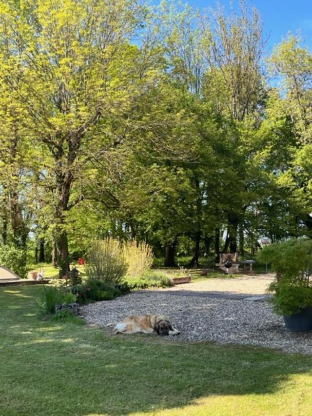 Nature Et Calme Apartment La Chapelle-Saint-Sauveur  Exterior photo